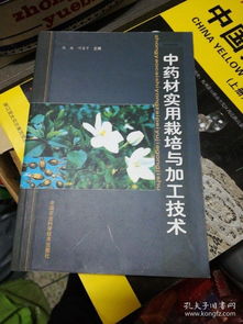 穿越時光的紙墨長河 山水書人的書攤與集書癖